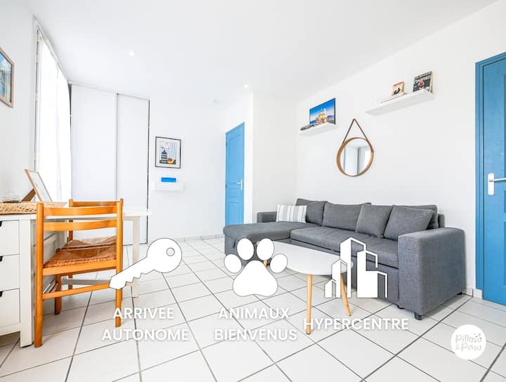 Le Persan : T2, Confort, Hypercentre, Pet-friendly - 투르