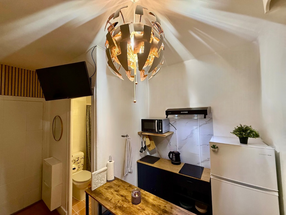 Successful Airbnb property: Entire 24 m² accommodation, renovated, in the heart of Geneva in Eaux Vives