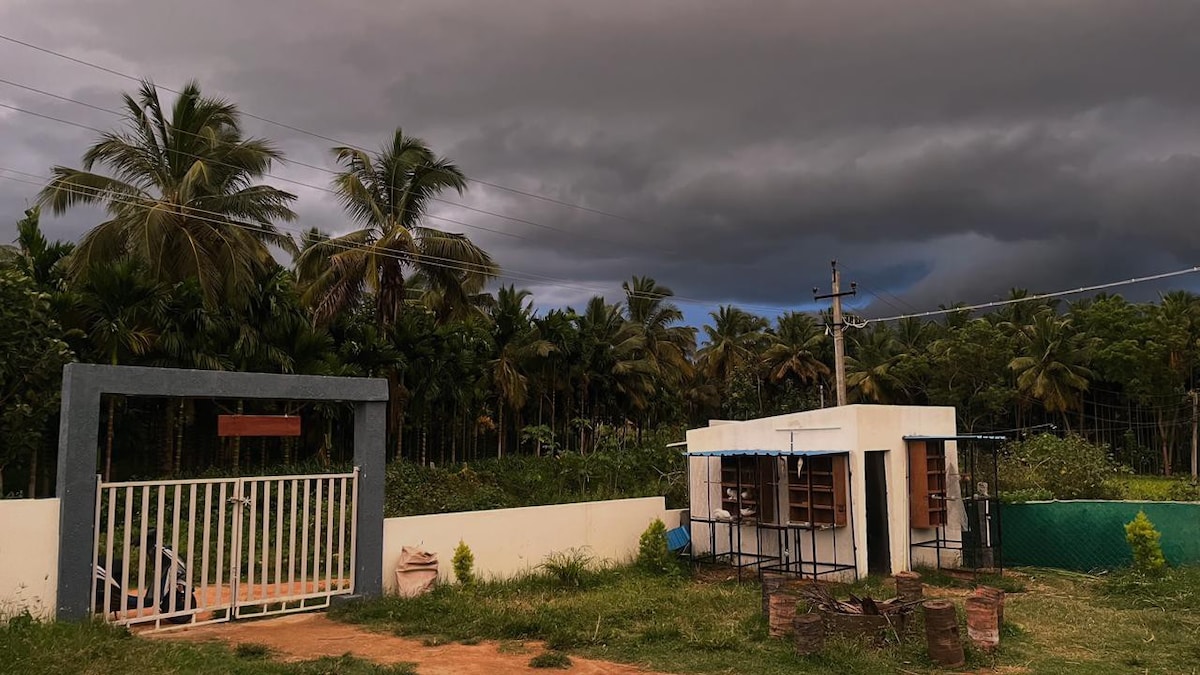 A welcoming entrance to the property is framed by tall palm trees and lush greenery. The structure features a secure fence with a gated entryway, paired with a small utility area that enhances the outdoor setting against a dramatic, overcast sky.