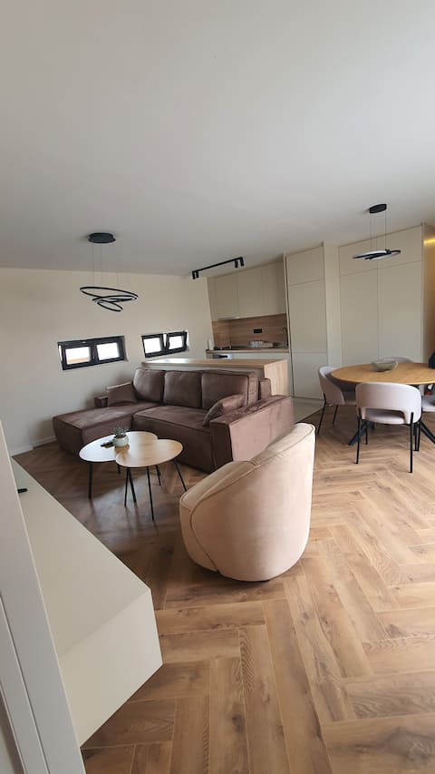 Modern apartment in the downtown