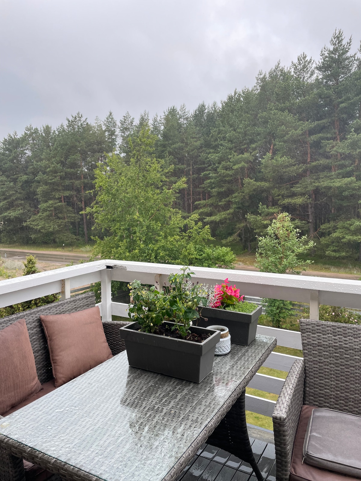 A balcony space features a clear glass table surrounded by wicker chairs, with two dark planters filled with greenery and bright flowers. A backdrop of dense trees is visible, adding a serene natural element to the scene, while a misty sky hints at rainy weather.