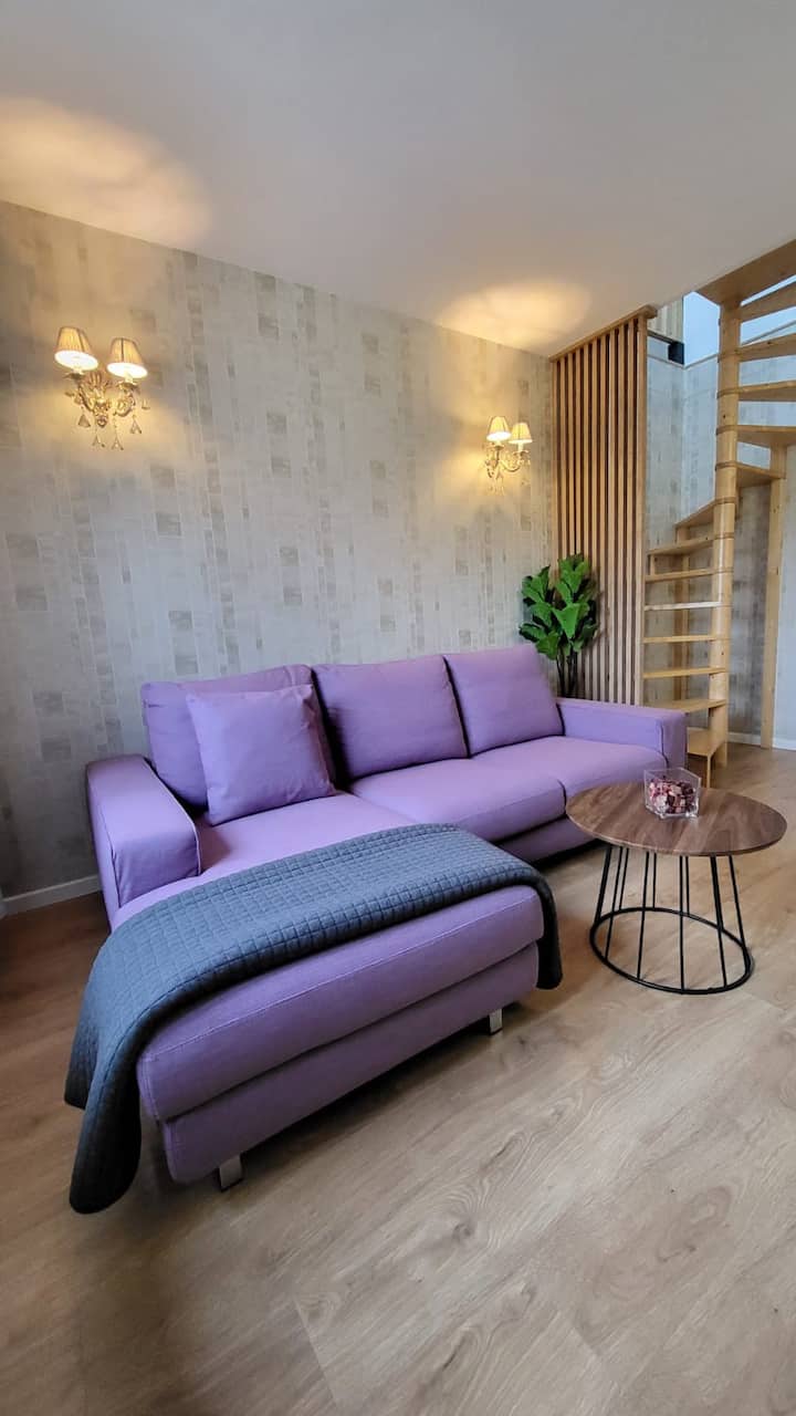 Appartement Duplex Le Bourget - ibis Paris Le Bourget