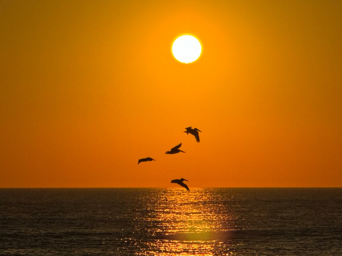 A breathtaking sunset is captured over the ocean, with a vibrant orange sun setting on the horizon. Silhouetted birds are seen flying across the sky, creating a serene atmosphere as their reflections can be noted on the water's surface.