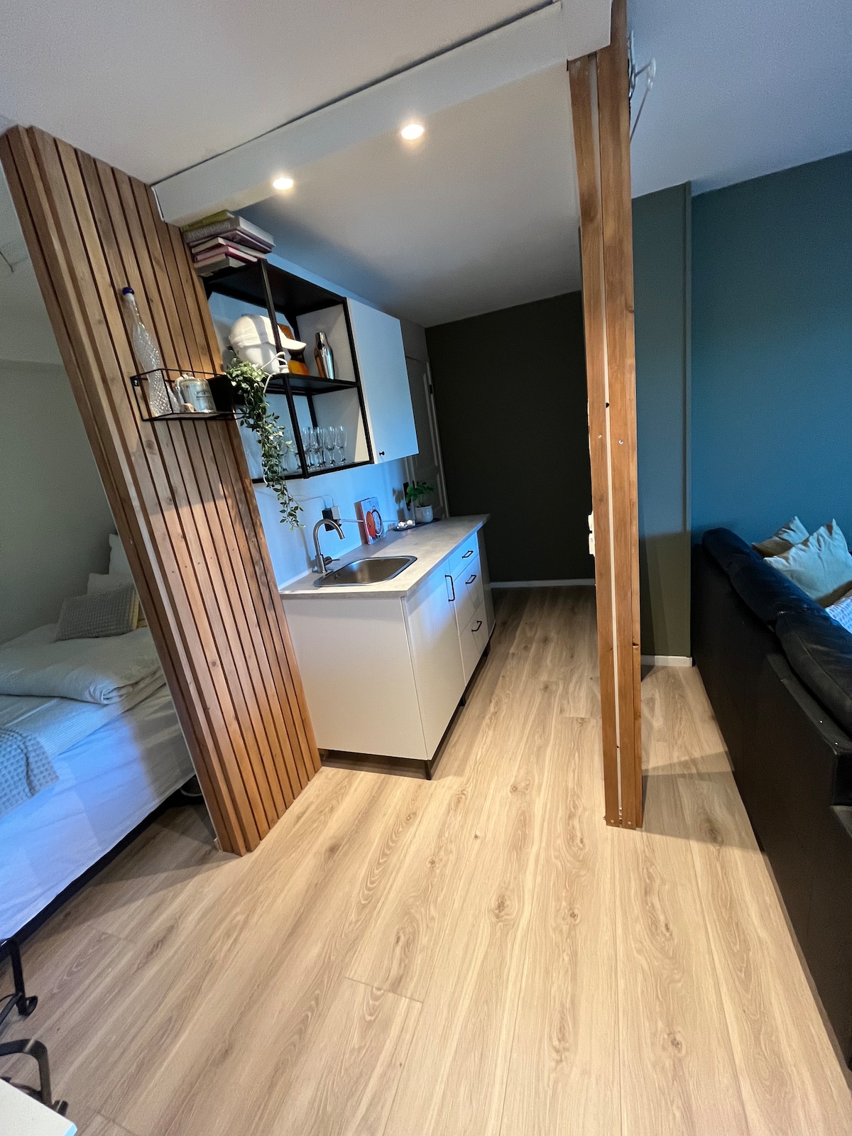 A compact living space is depicted, featuring a kitchenette with modern appliances. A wooden partition separates the sleeping area from the lounge, which is furnished with a dark sofa. Natural light illuminates the warm wood flooring, creating an open and inviting ambiance.