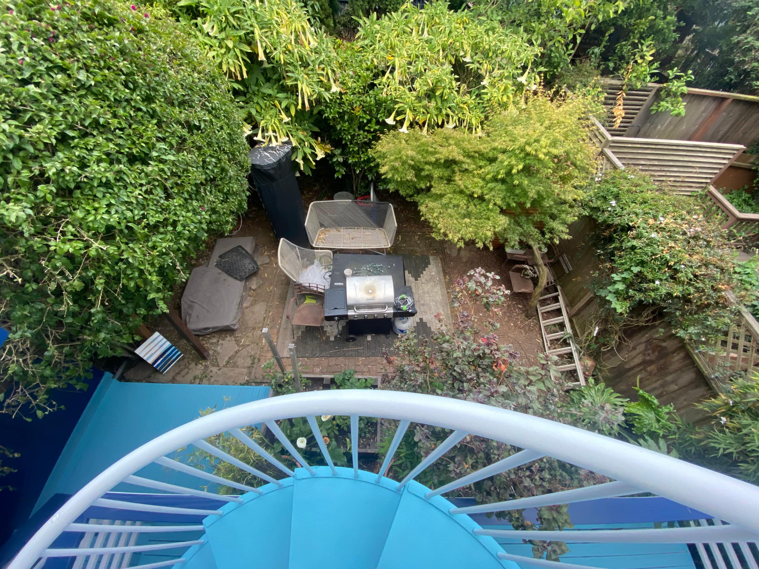 Victorian Gem in Vibrant Bernal Heights Village - Image 19