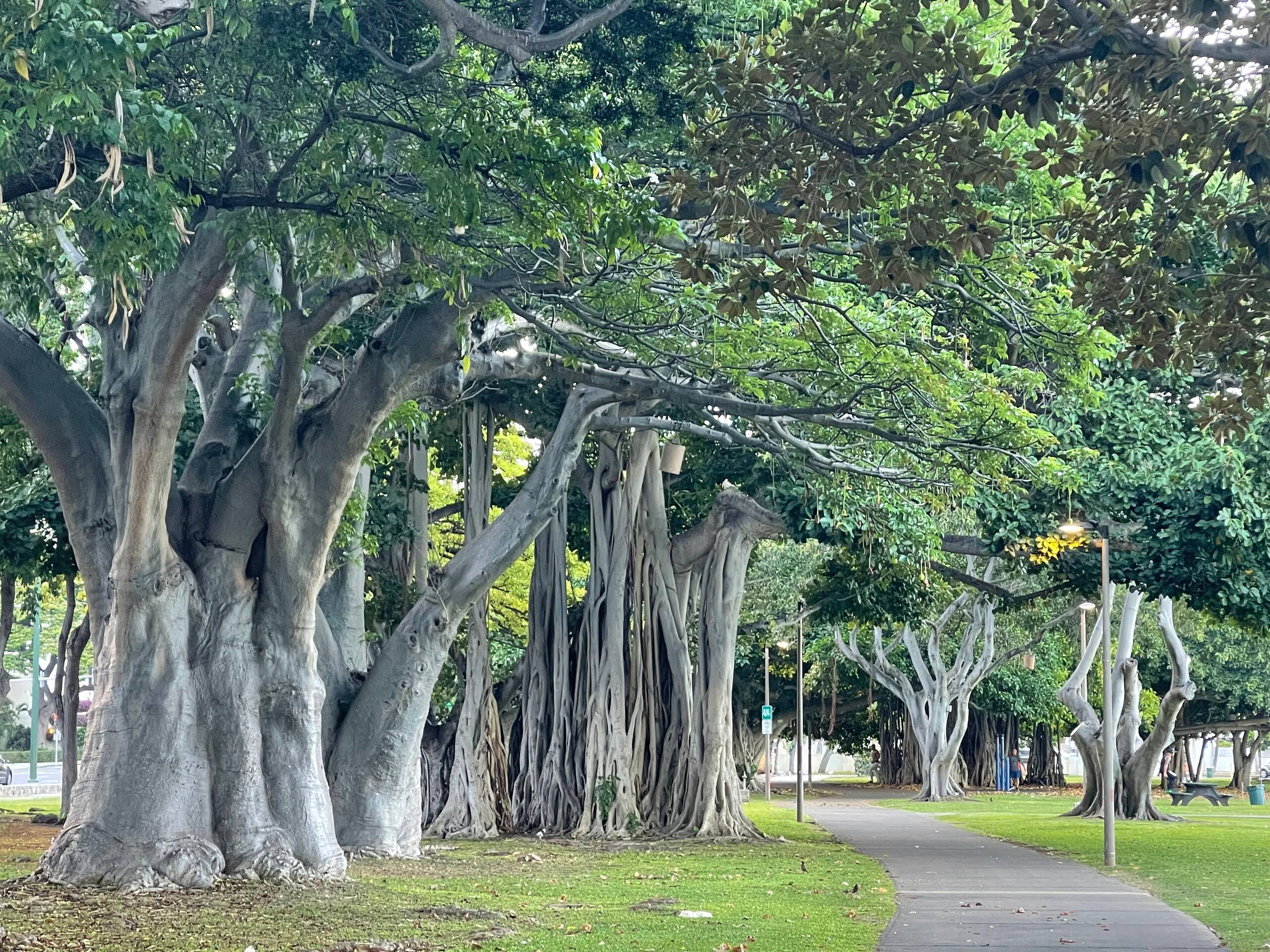 Hotel in Honolulu · ★4.76 · 1 bedroom · 2 beds · 1 private bath - Image 74