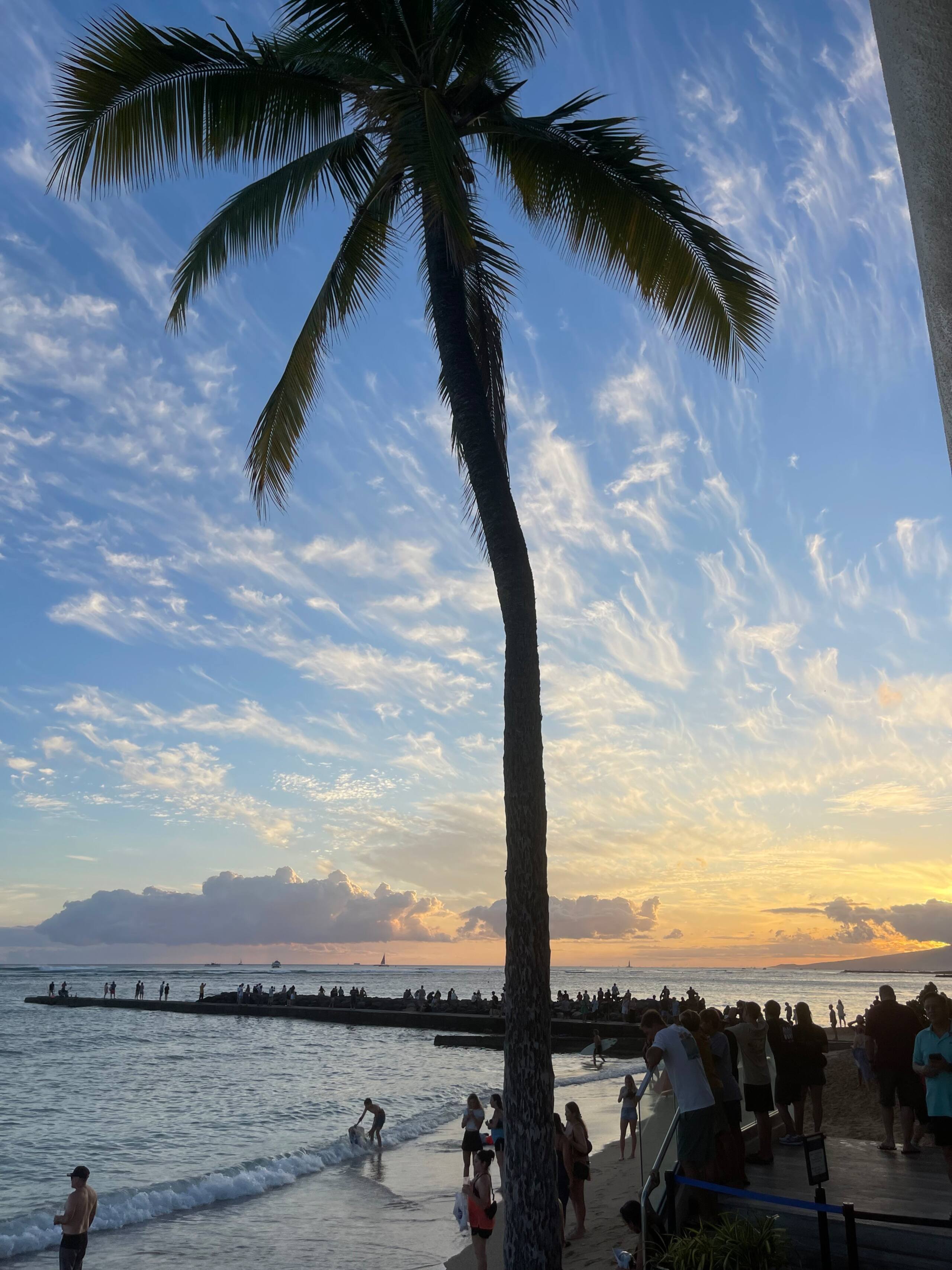 Hotel in Honolulu · ★4.76 · 1 bedroom · 2 beds · 1 private bath - Image 125