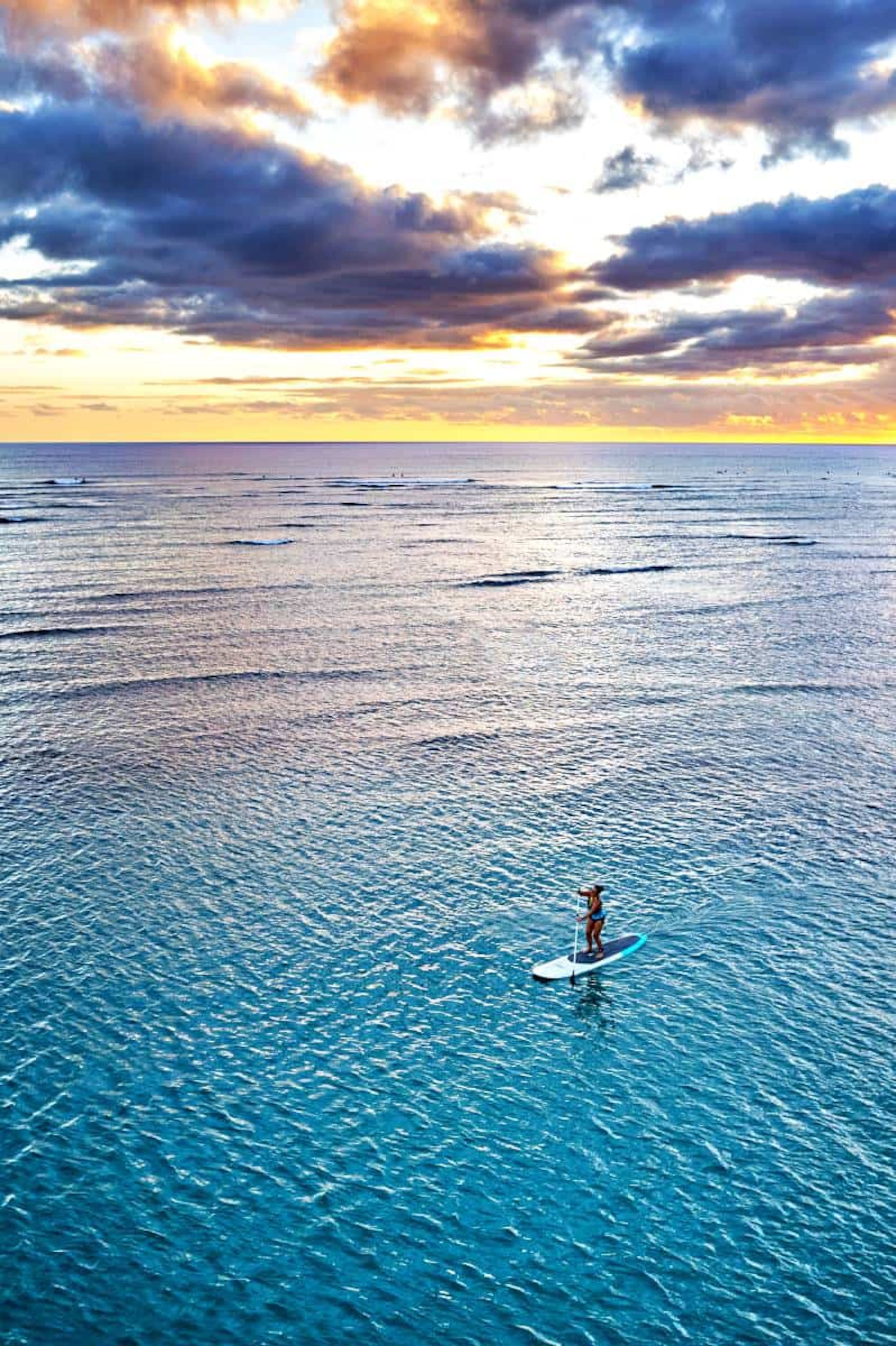Hotel in Honolulu · ★4.76 · 1 bedroom · 2 beds · 1 private bath - Image 63