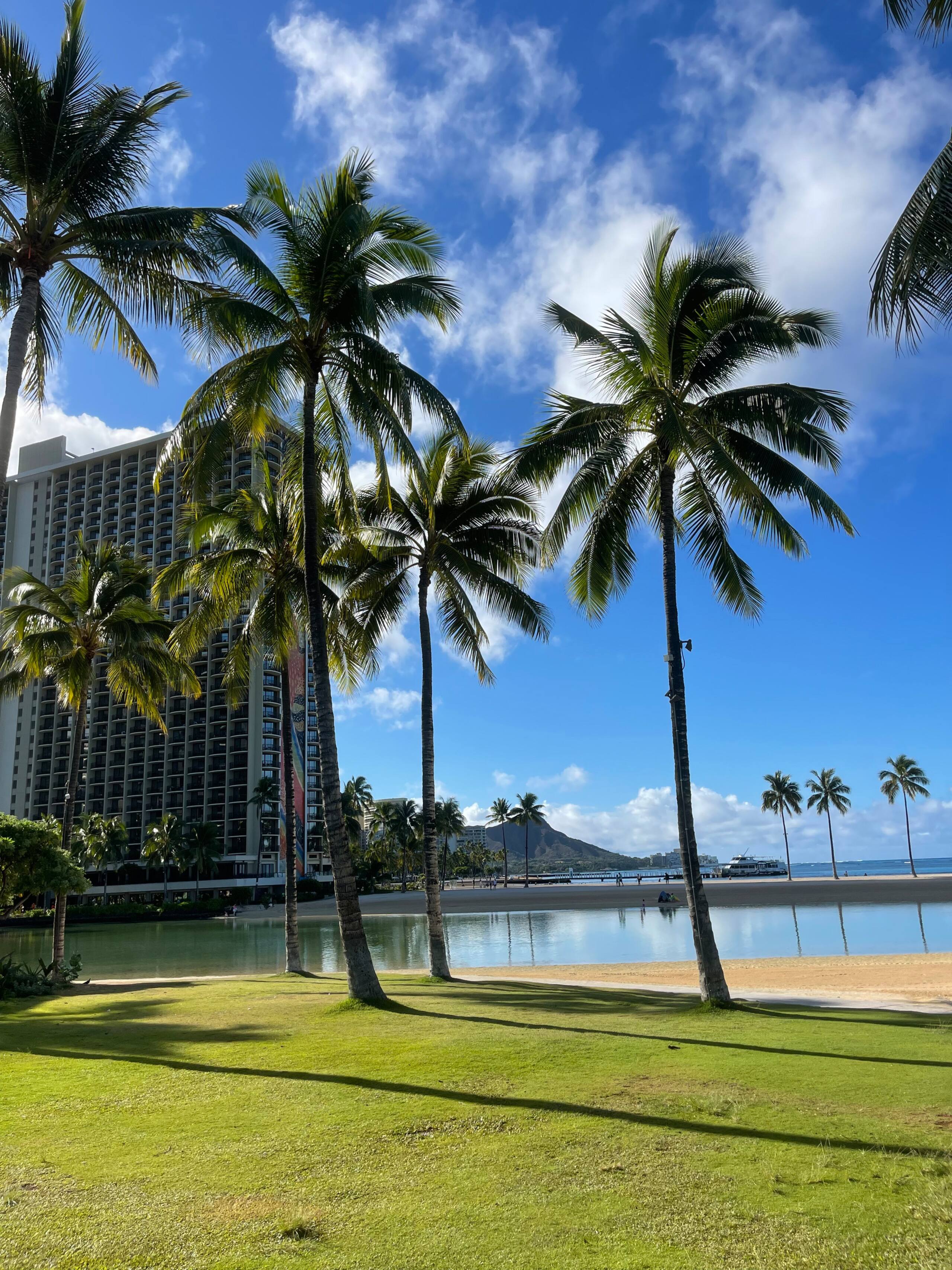 Hotel in Honolulu · ★4.76 · 1 bedroom · 2 beds · 1 private bath - Image 126