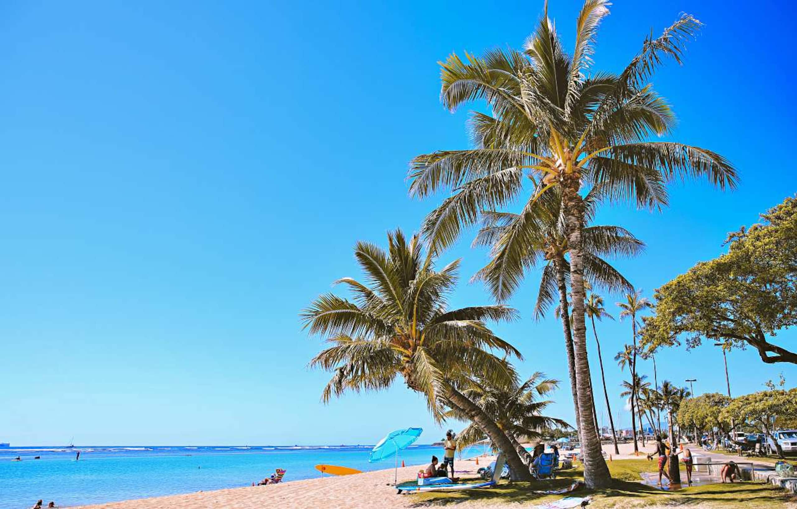 Hotel in Honolulu · ★4.76 · 1 bedroom · 2 beds · 1 private bath - Image 71