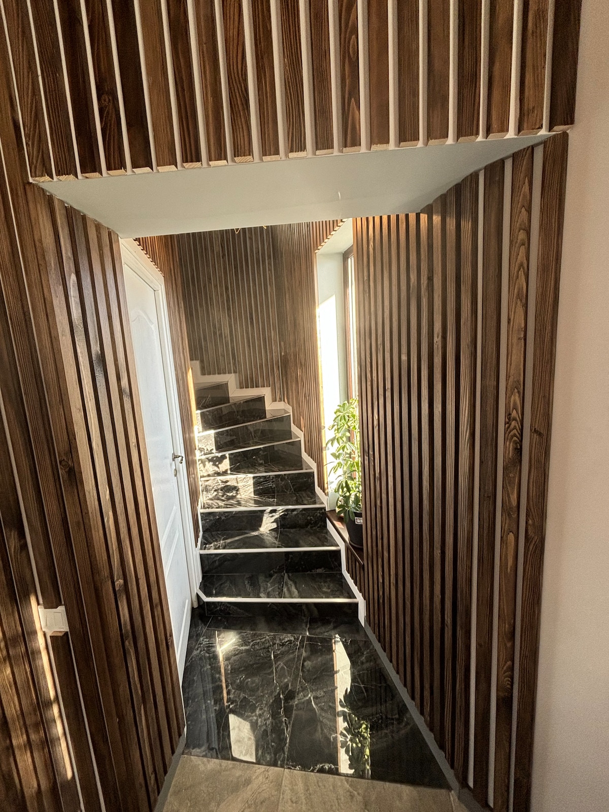 A corridor features wooden paneling that extends vertically along the walls, creating a warm ambiance. A staircase with dark stone steps leads upwards, bathed in natural light from a nearby window. A green plant is positioned at the base of the staircase, adding a touch of nature.