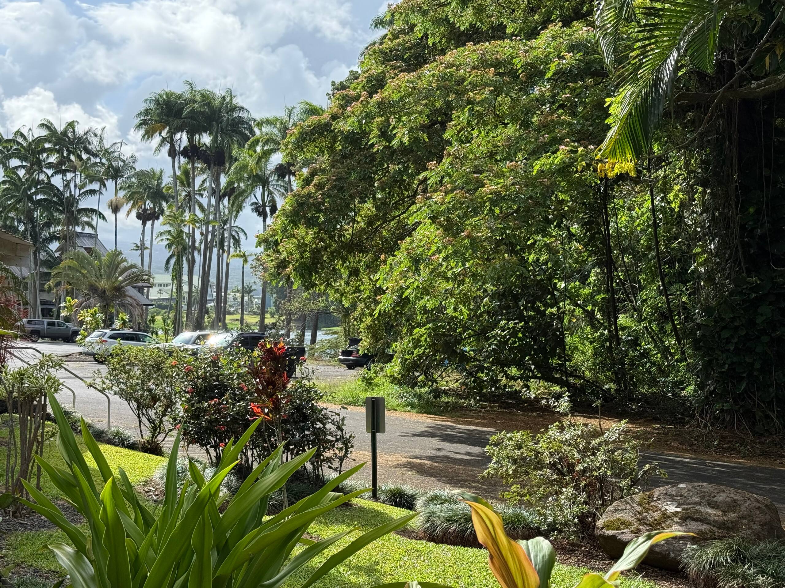 Cute Polynesian 2Br 1Ba Apt with work space - Photo 10