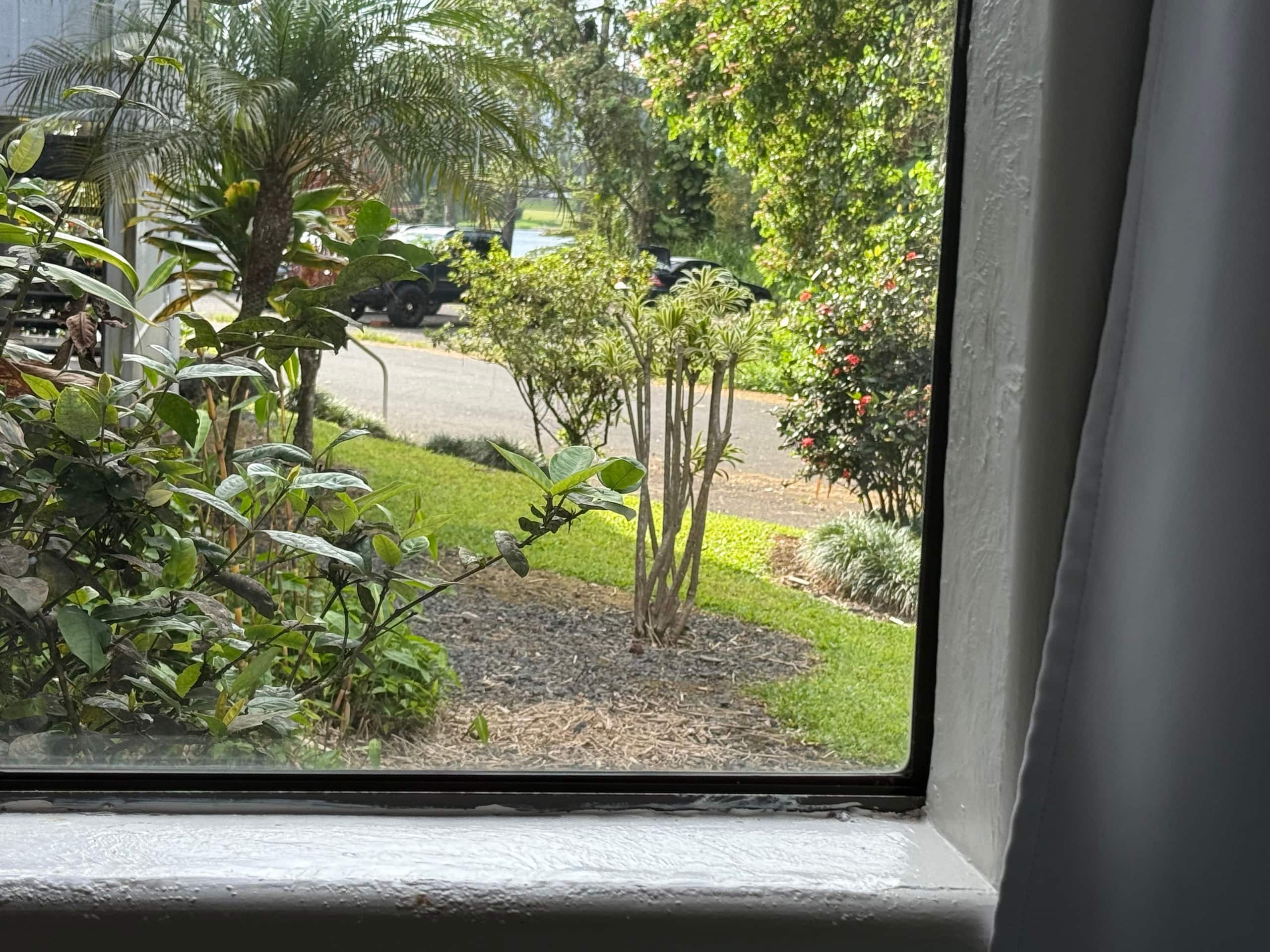 Cute Polynesian 2Br 1Ba Apt with work space - Photo 3