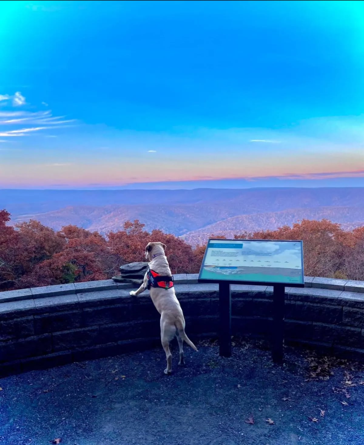 A scenic viewpoint displays a vast mountain landscape under a gradient sky transitioning from orange to blue. A dog stands at the edge of a stone wall, gazing towards the distant hills, while an informational sign is positioned nearby.