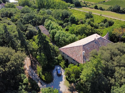 Domaine Daulone southside