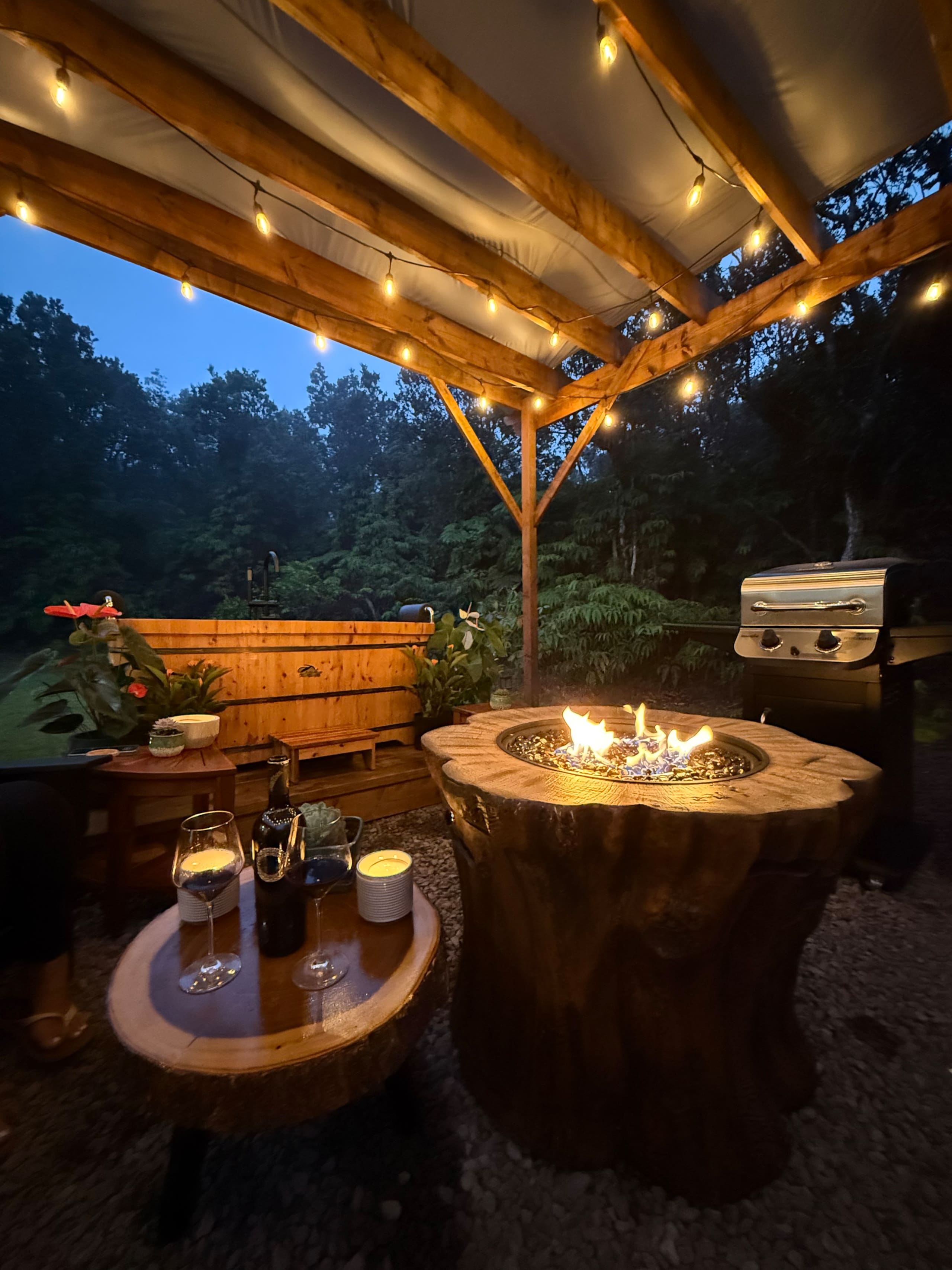 Volcano Teahouse Cottage2-HotTub-FirePlace-FirePit - Photo 45