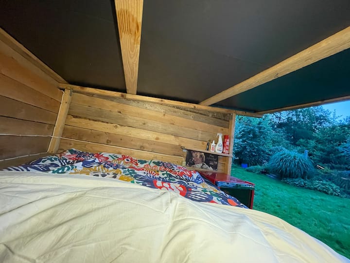 Shelter - Kolding