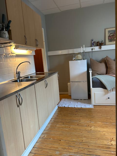 Top performing Airbnb: Studio apartment centrally located in Dalaplan in Malmö
