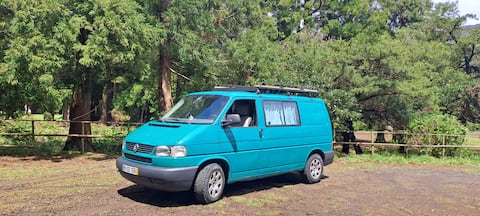 Flores on a VW caravan