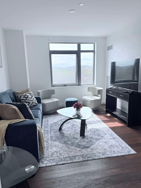 Top Airbnb: Fenway/LMA/Downtown Boston in Brookline