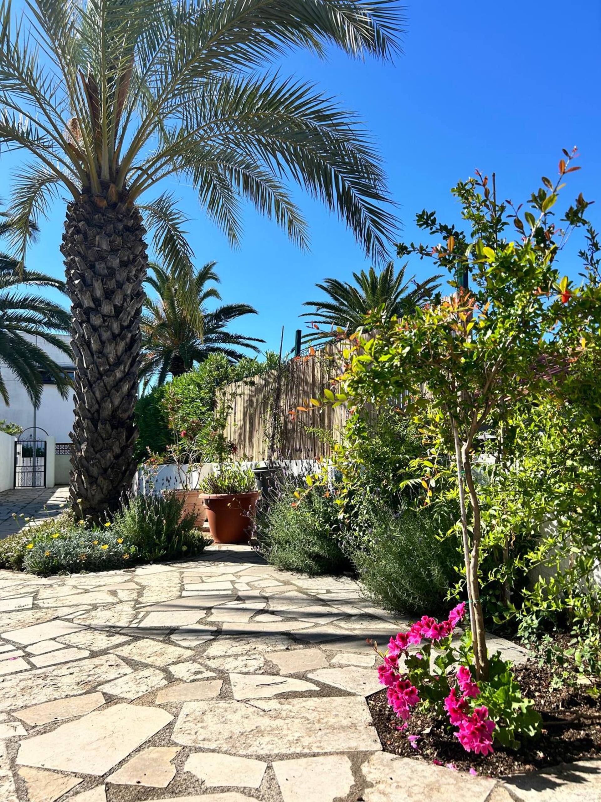 Casa Myjoli — foto 2