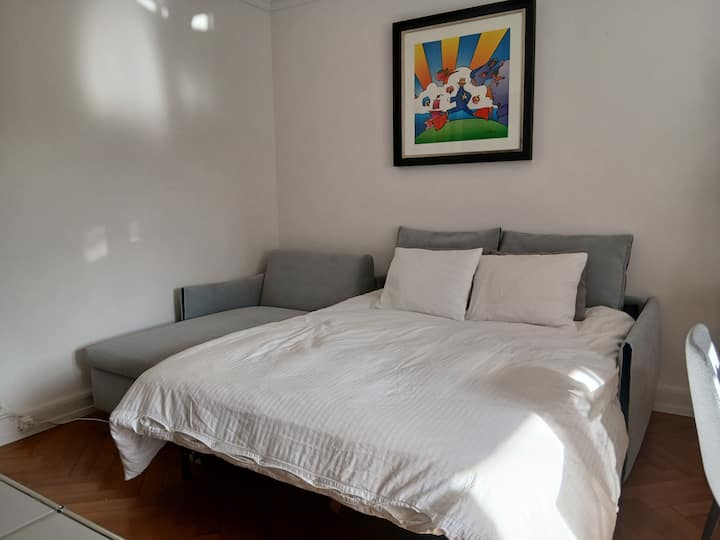 Stylish Sunny Central Flat With A Spacious Terrace - Crissier