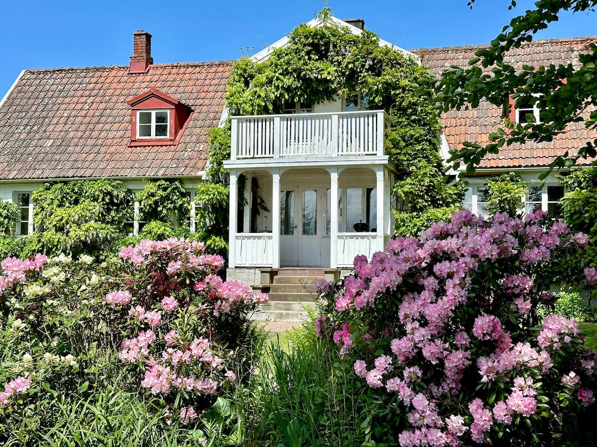 A charming house is partially covered in greenery, with a white balcony above a set of double doors. Surrounding flowers, specifically pink rhododendrons and various plants, create a welcoming entrance. Clear blue skies provide a bright backdrop, enhancing the inviting character of the home.