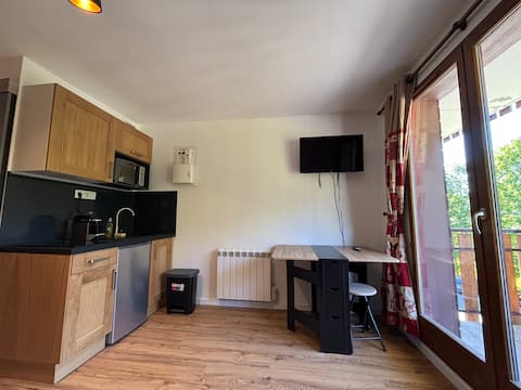 Successful Airbnb property: Studio station 3 places. in Bernex