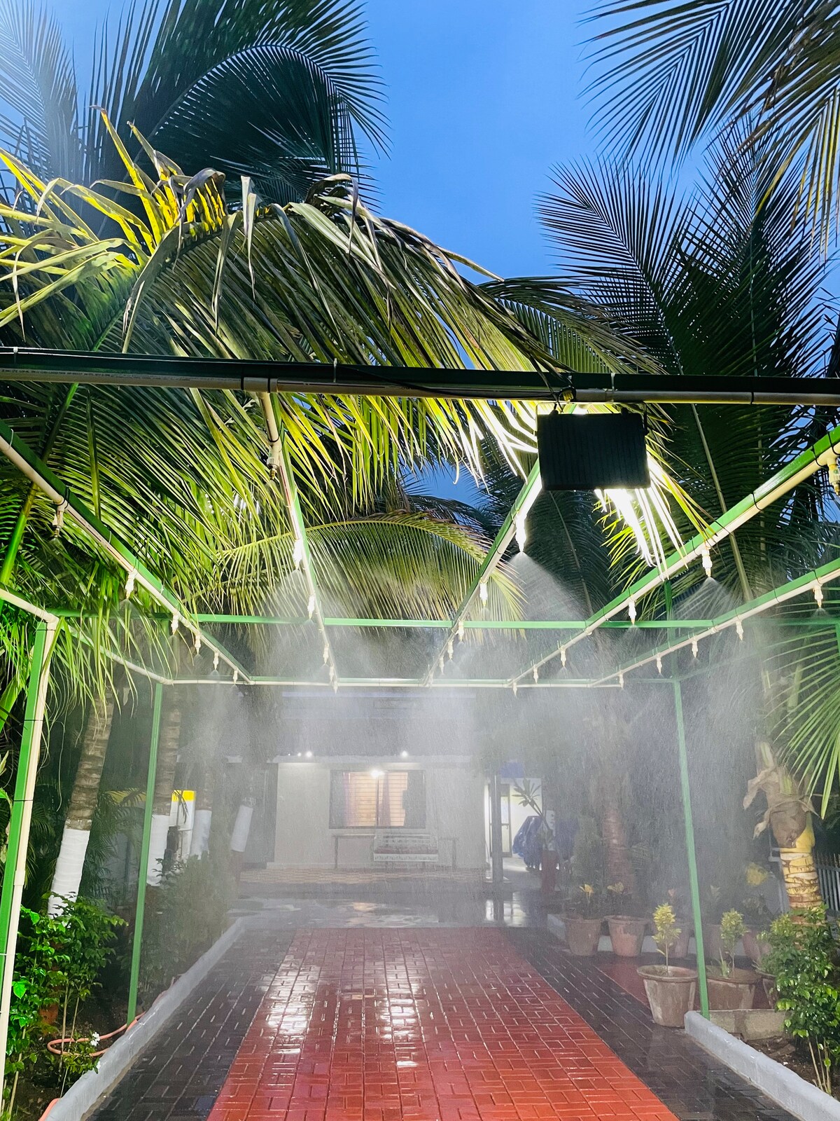 A covered walkway is illuminated by overhead lighting, lined with lush palm trees. Mist is released from above, creating a refreshing atmosphere. The paved pathway is visible and flanked by various potted plants, leading towards an inviting entrance in the background.