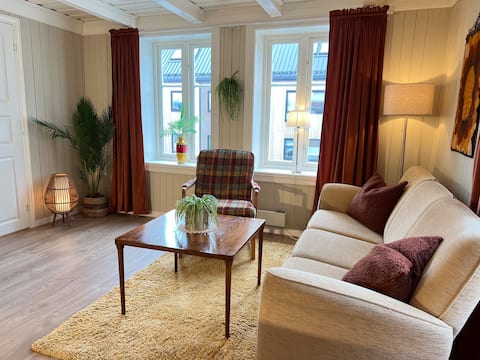 Top performing Airbnb: Central location in the city center. Free Parking in Tromsø Sentrum Core