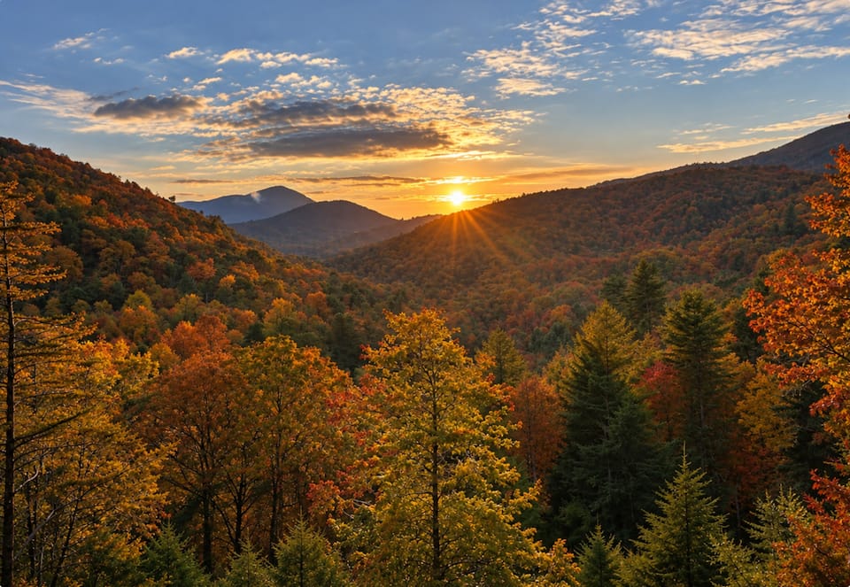 Sippin' on Sunsets, a new cabin above the treetops, Cherry Log, Georgia, United States, photo 6 of 10