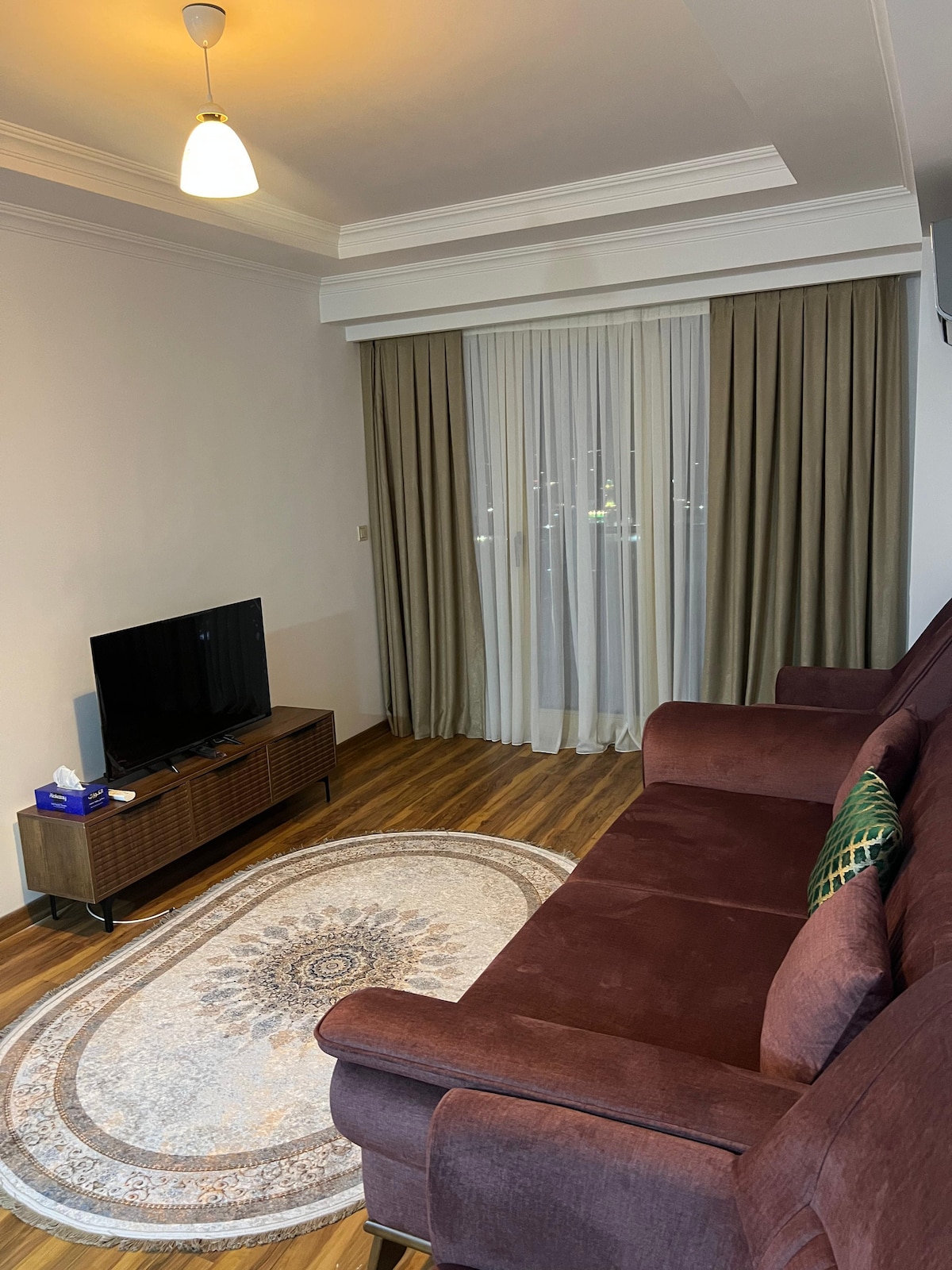 A comfortable living area is presented, featuring a dark purple sofa with decorative cushions. A patterned rug is positioned on the wooden floor, while a television is mounted on a modern media console. Light flows through sheer curtains, softening the space.