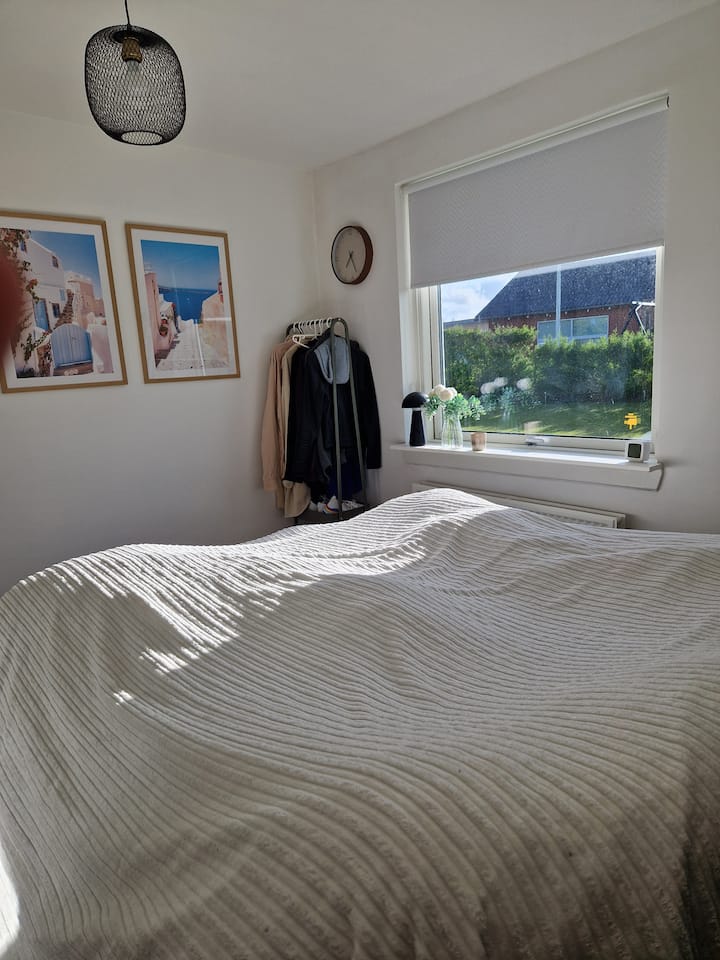 Habitación 1