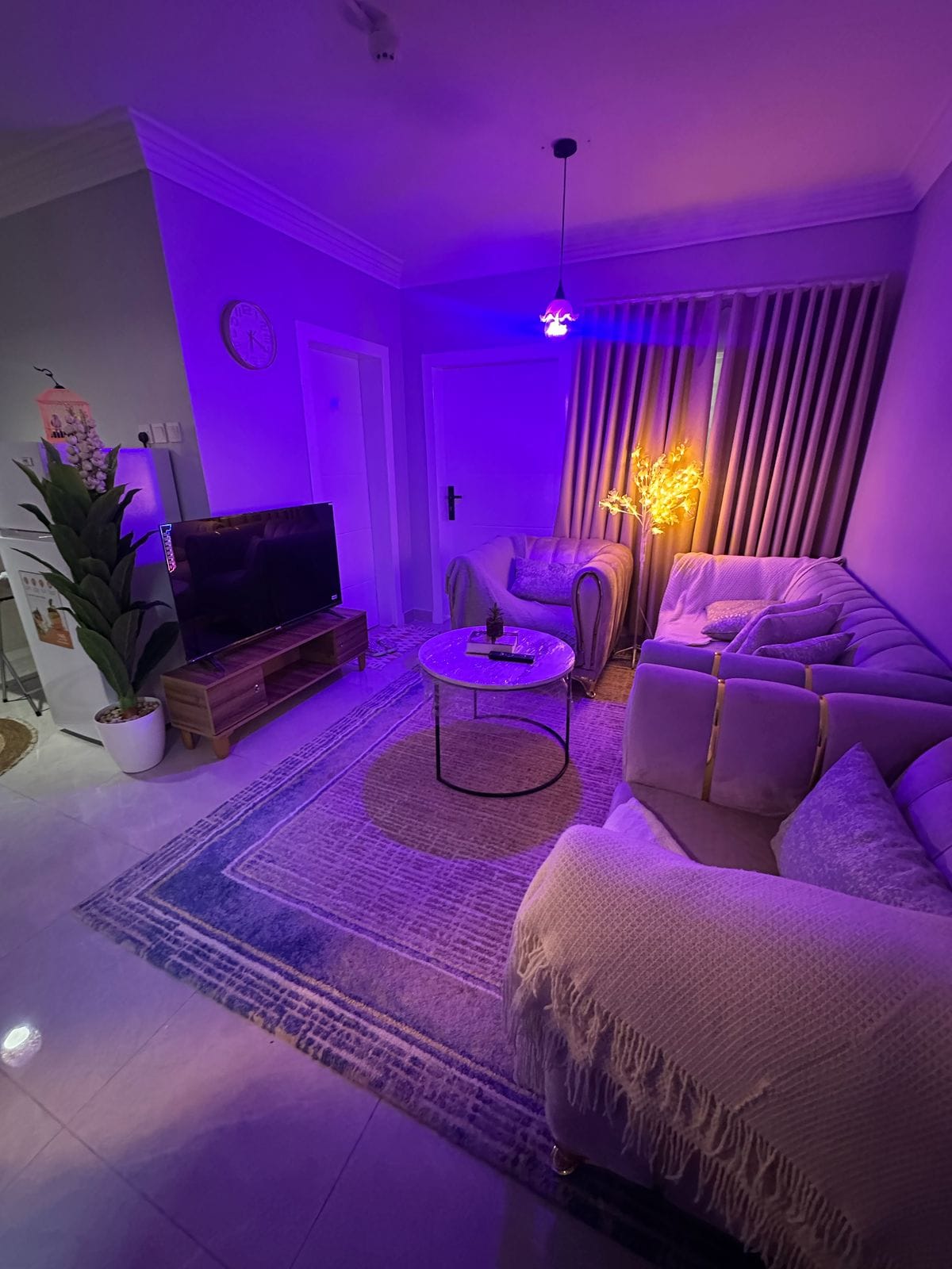 A cozy living area is illuminated by soft purple lighting. A plush, light-toned sofa and a matching armchair surround a circular coffee table. A television stands on a wooden console, while a potted plant and a decorative light add warmth to the space.