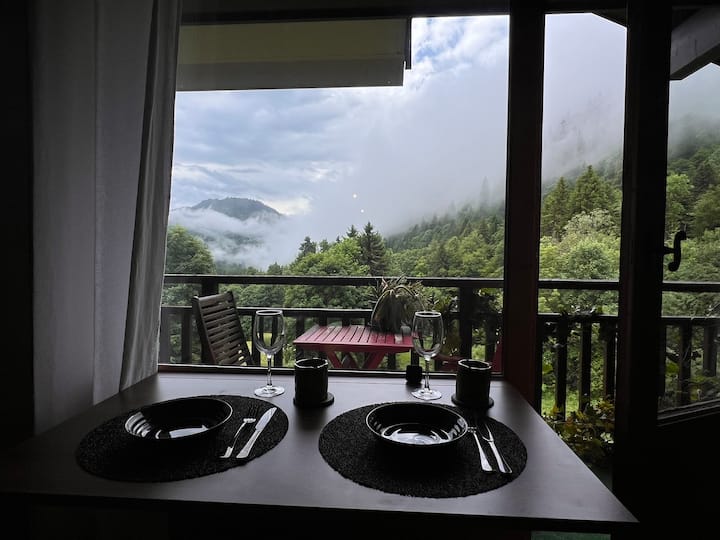 Studio Cosy Vue Montagne/bail Saisonnier 550 Lmnp - Bellevaux