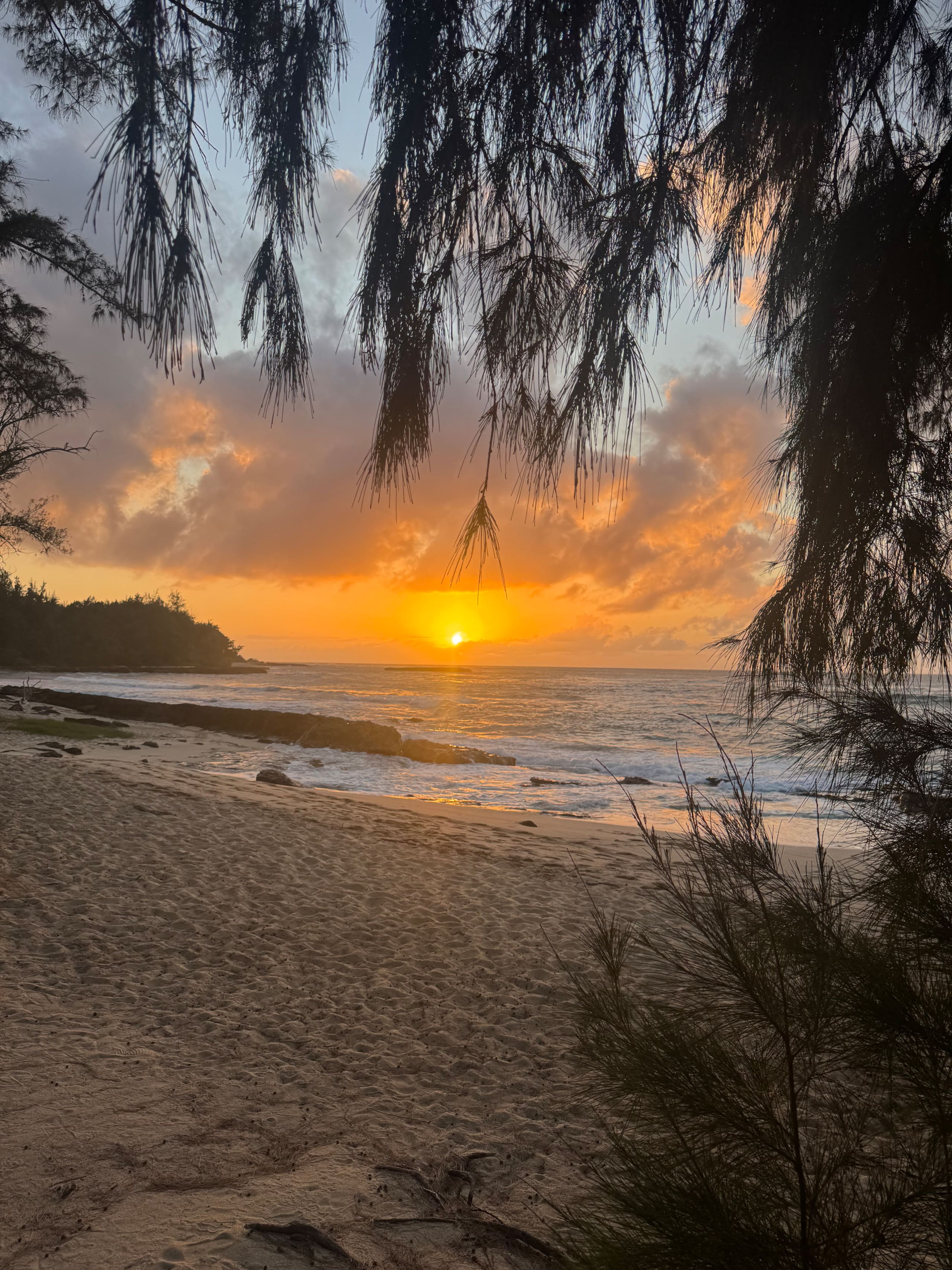 Condo in Kahuku · ★4.67 · Studio · 2 beds · 1 private bath - Image 23