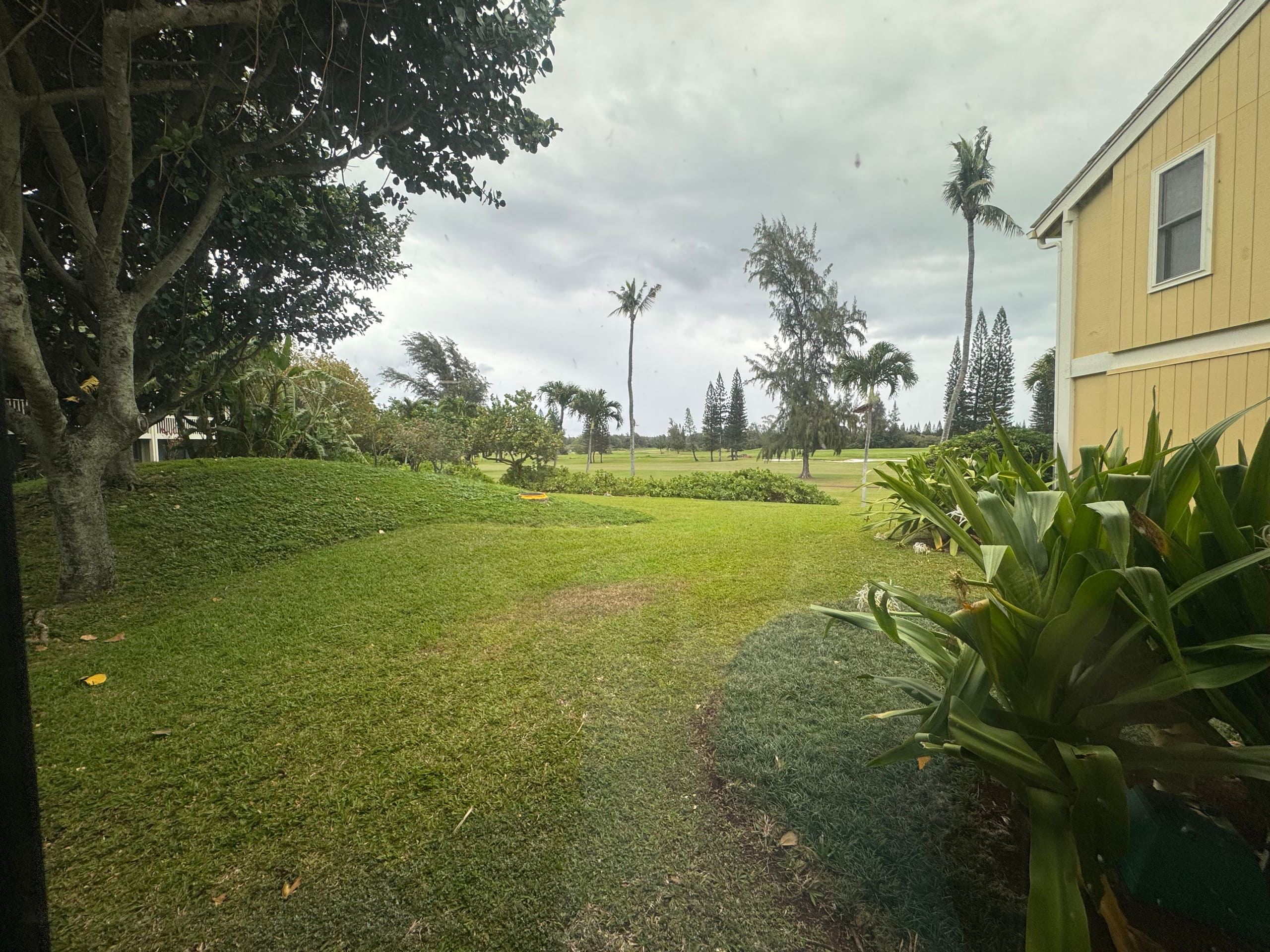 Condo in Kahuku · ★4.67 · Studio · 2 beds · 1 private bath - Image 22