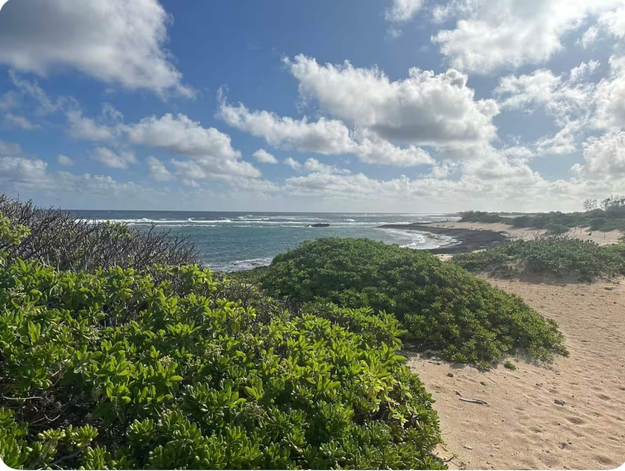 Condo in Kahuku · ★4.67 · Studio · 2 beds · 1 private bath - Image 21