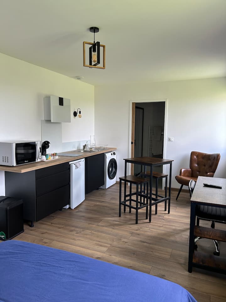 Chez Sandrine Et Stéphane, Superbe Studio Meublé - La Chapelle-Saint-Mesmin