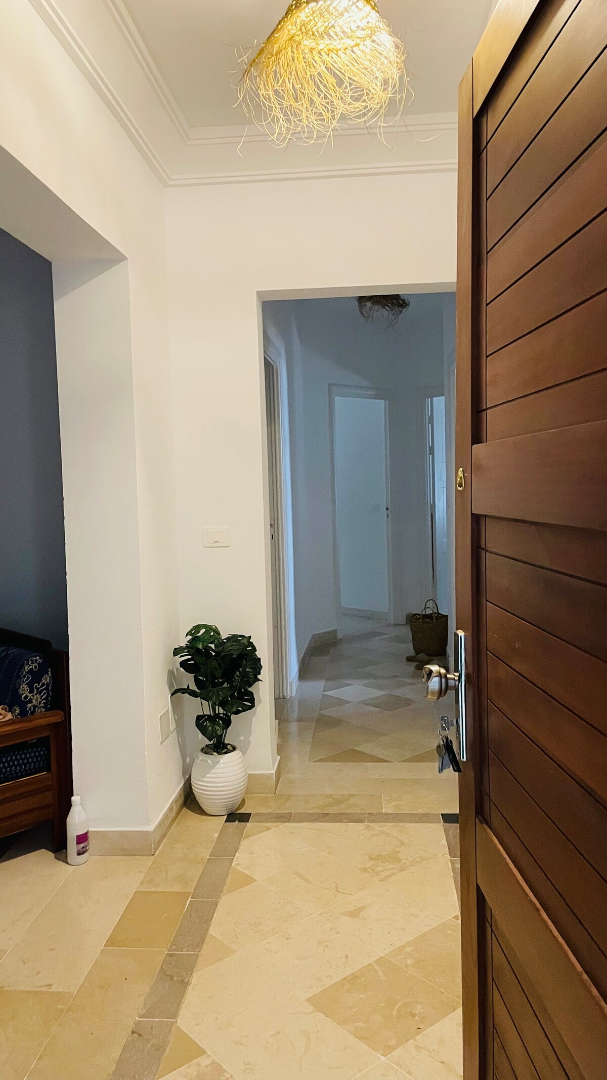 A well-lit corridor is viewed from the entrance. Light-colored tiled flooring contrasts with the dark wood of the door. A decorative plant is positioned beside the wall, while a glimpse of additional doorways leads further into the apartment.