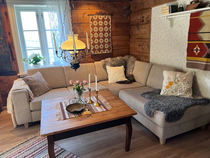 Nostalgisk Og Koselig Stue Med Unik Beliggenhet - Norvège