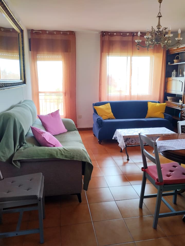 Pet Friendly La Golondrina Del Duratón - Cantalejo