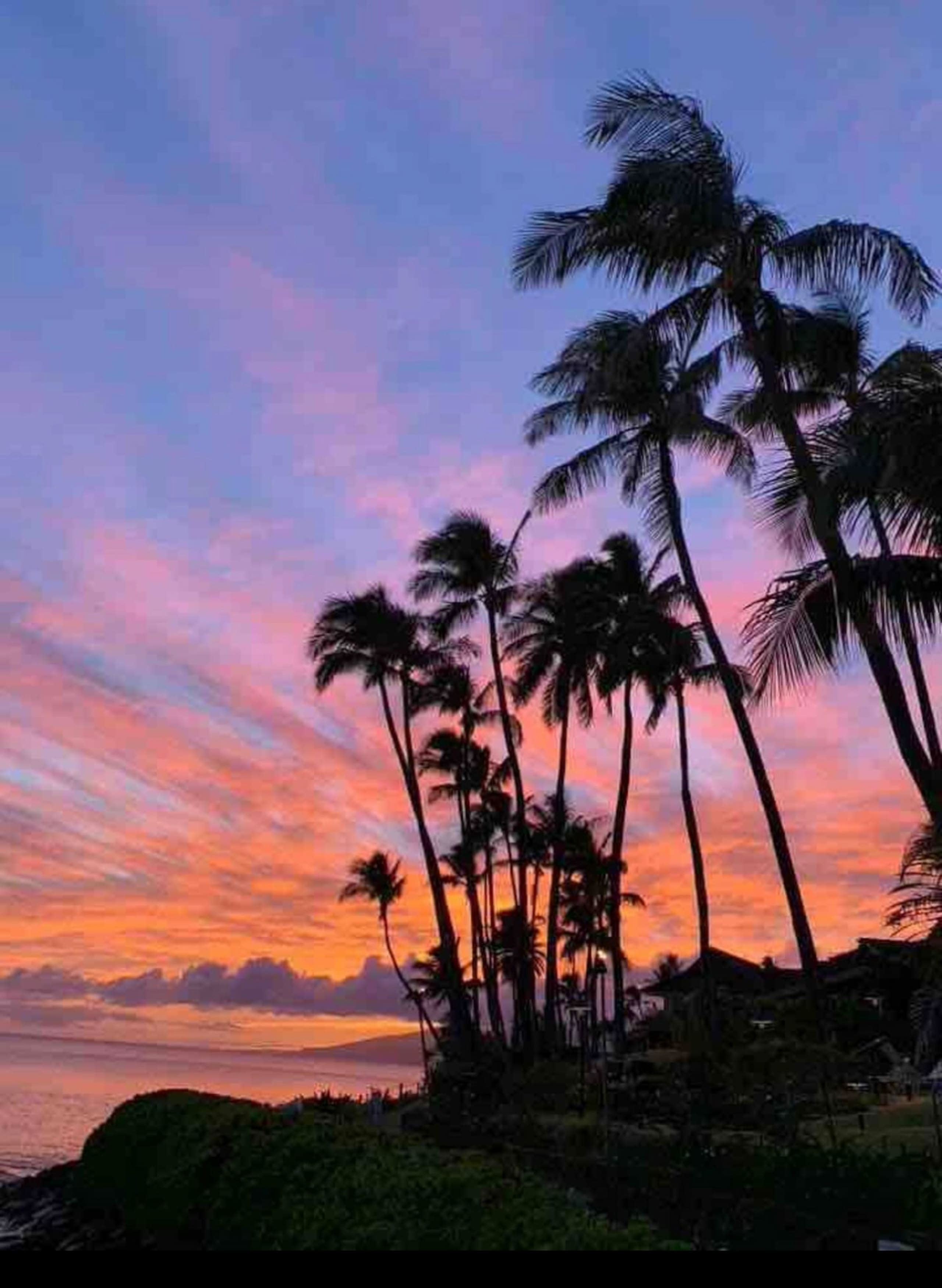 Oceanfront Resort Maui~ AC/King~ Sandy Napili Bay! - Image 66