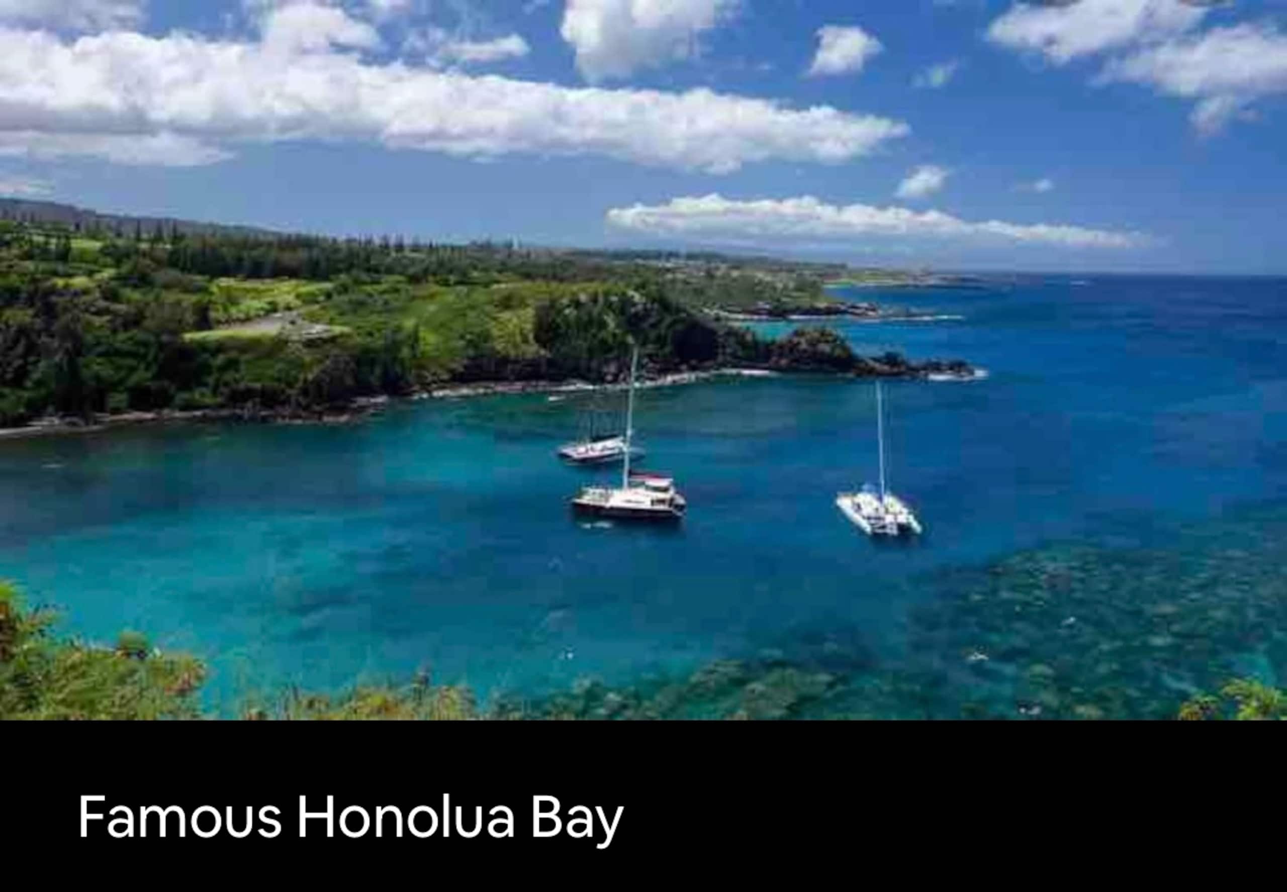 Oceanfront Resort Maui~ AC/King~ Sandy Napili Bay! - Image 64