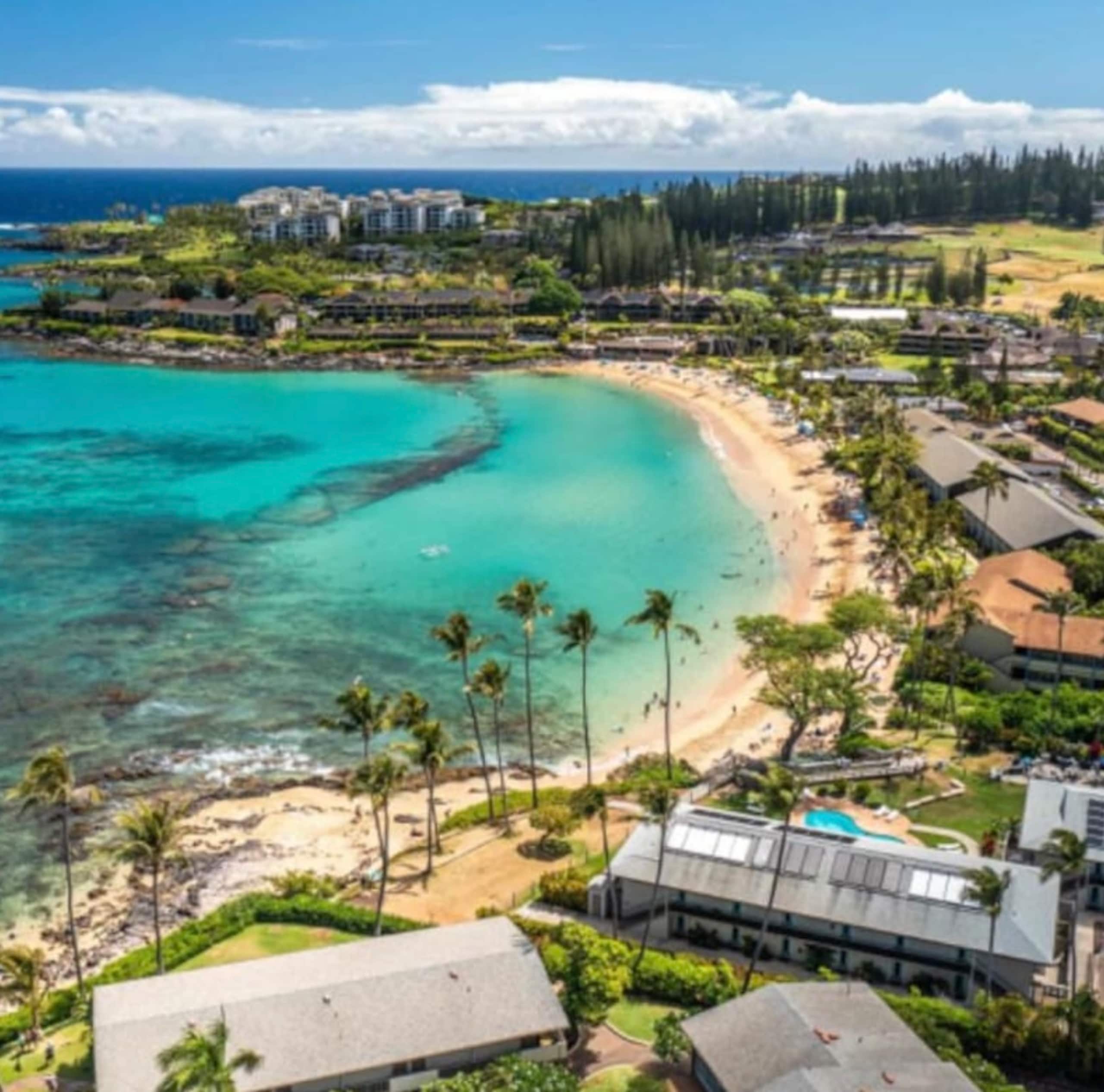 Oceanfront Resort Maui~ AC/King~ Sandy Napili Bay! - Image 5
