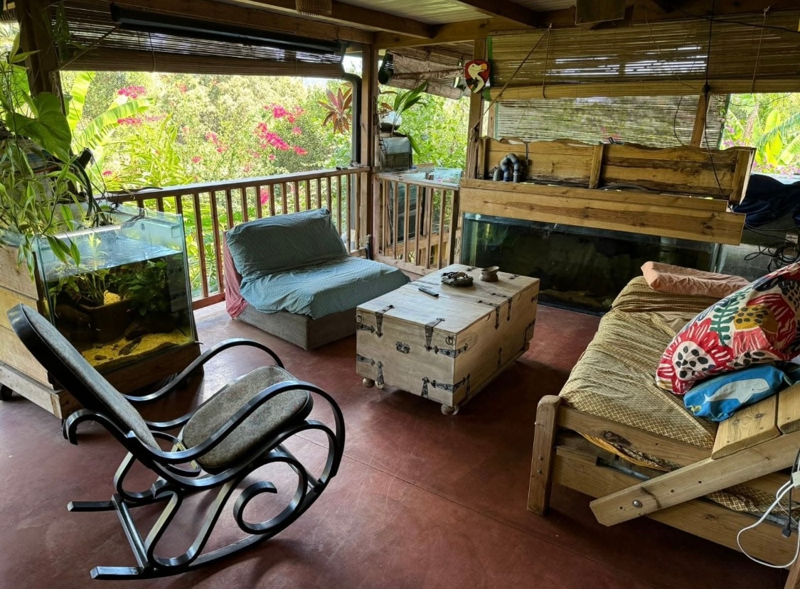 A cozy seating area features a wooden coffee table surrounded by two distinct seating arrangements, including a lounge chair and a spacious bed made of natural materials. Large windows offer a view of lush greenery, and a fish tank adds a tranquil touch to the atmosphere.