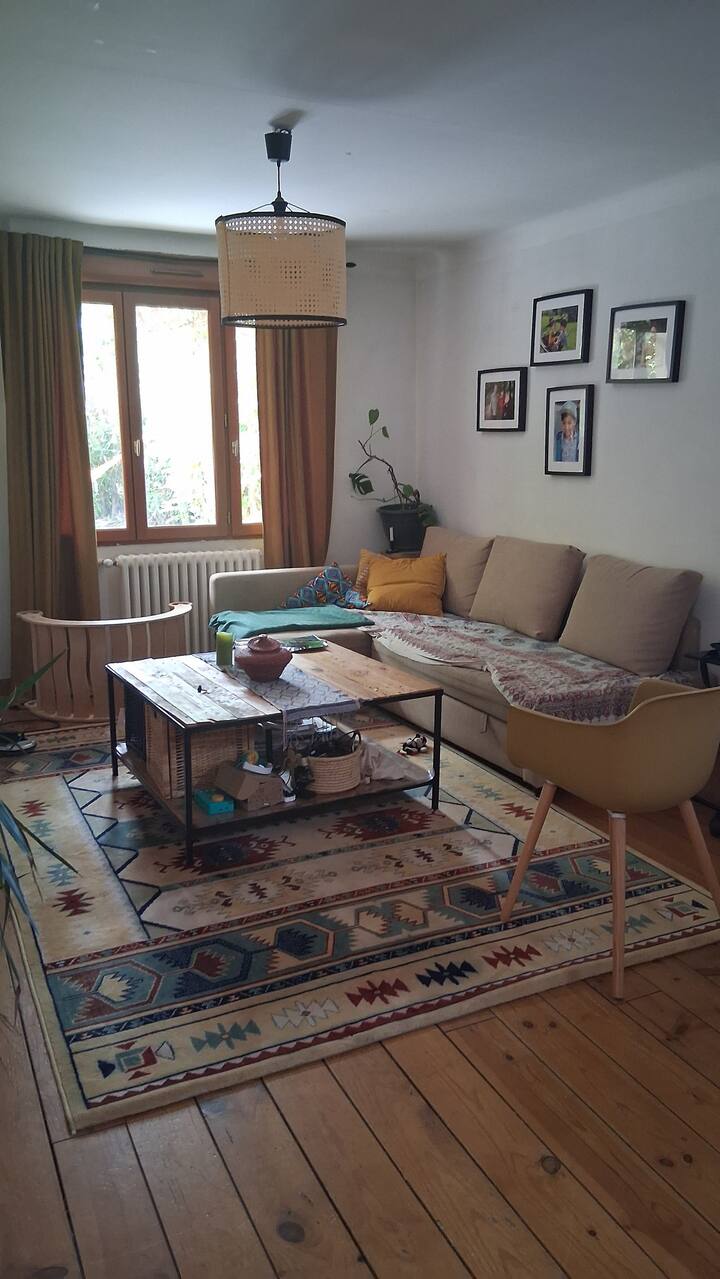 Rez De Jardin Au Cœur De La Ville - Chambéry