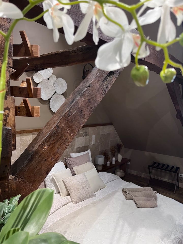 Suite Zen Balnéo Détente – Déco Nature & Cocooning - Saint-Omer