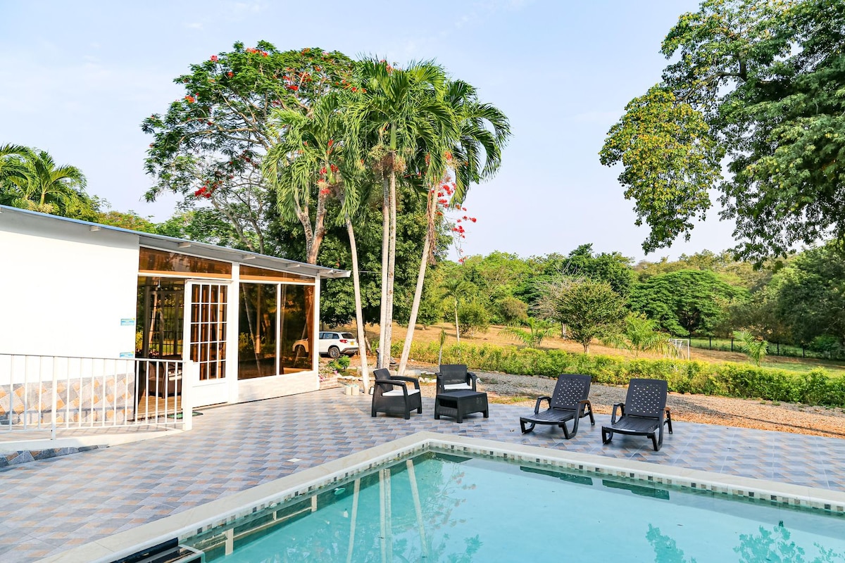 A tranquil outdoor scene features a private pool surrounded by landscaped gardens. Several lounge chairs are positioned near the water, inviting relaxation. A modern villa with large glass windows offers expansive views of the natural surroundings, allowing light to fill the interior space.