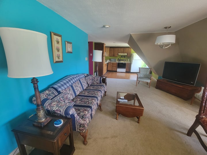 Huge 4 Bed/1 Ba 90's Vibe Apt, 3rd Floor, Adults - Waterloo, IA